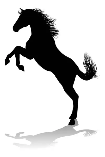 Horse Animal Detailed Silhouette Graphic — Stock Vector
