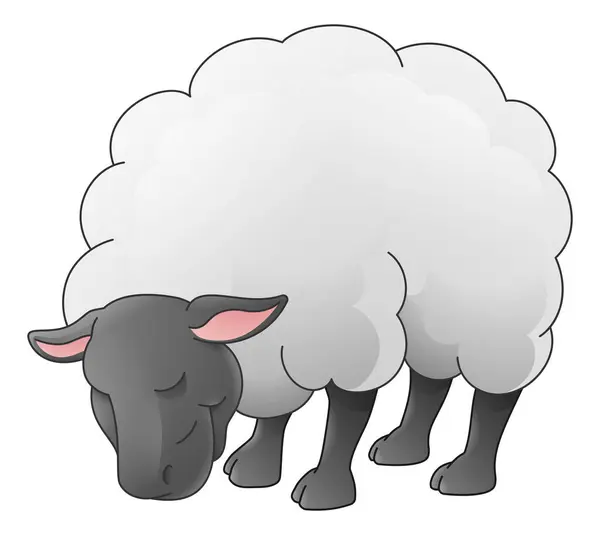 Animal Ovelhas Bonito Personagem Cartoon Preto Branco Colorir Ilustração — Vetor de Stock