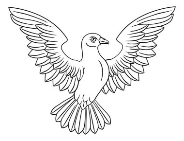 Beyaz bir güvercin, barışın, inancın ya da umudun sembolü.