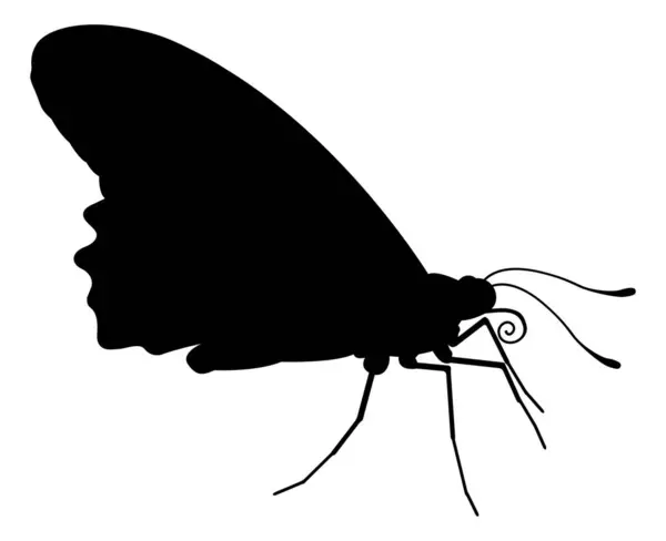 Egy Pillangó Állati Sziluettje Jogdíjmentes Stock Illusztrációk