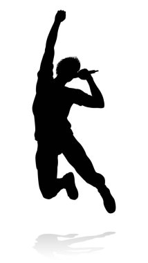 Bir şarkıcı pop, country müzik, rock yıldızı ya da hip hop şarkıcısı.