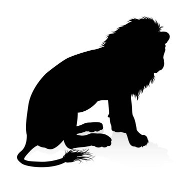 A male lion safari animal in silhouette