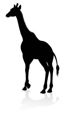 A high quality giraffe animal silhouette clipart