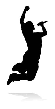 Bir şarkıcı pop, country müzik, rock yıldızı ya da hip hop şarkıcısı.