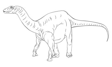 Diplodocus, brontosaurus, supersaurus ya da brachiosaurus gibi bir dinozor. Siyah-beyaz çizgi çizgi çizgi roman sayfalarını boyayan bir çocuk gibi.