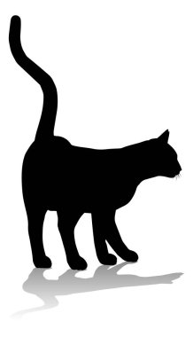 Bir siluet kedi evcil hayvan detaylı grafik