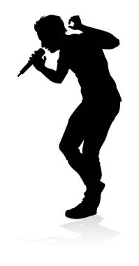 Bir şarkıcı pop, country müzik, rock yıldızı ya da hip hop şarkıcısı.