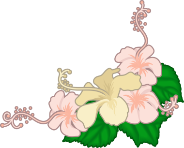 hibiscus illüstrasyon tasarım ögesi