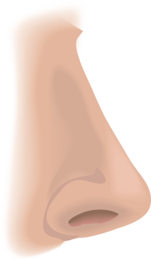 Sihirbaz karakteri çizimi