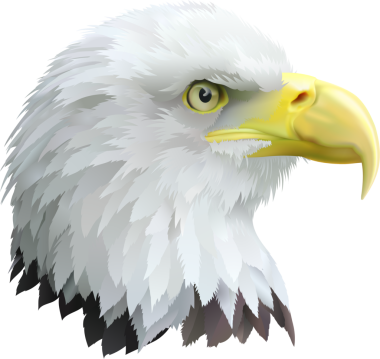 Kartal tasarım elementleri çizimi