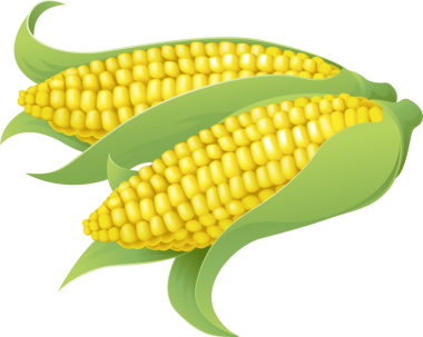 Lezzetli tatlı mısır tasarım elementi