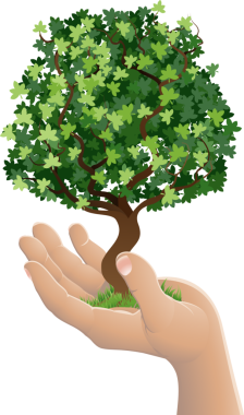 büyüyen bir ağaç tutan el