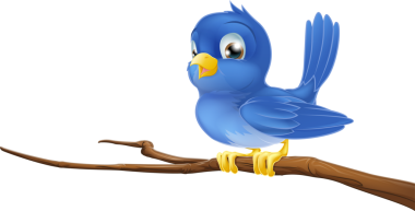 Bluebird ağaç dalı