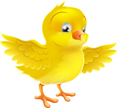 tatlı mutlu küçük sarı Paskalya piliç