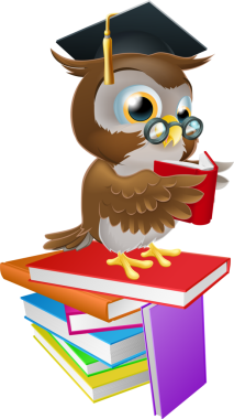 Bilge baykuş tasarım ögesi