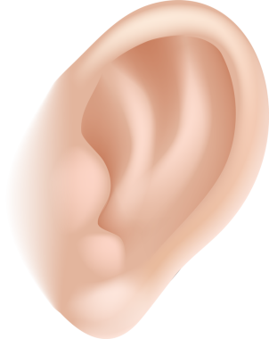 kulak vücut parçası çizimi