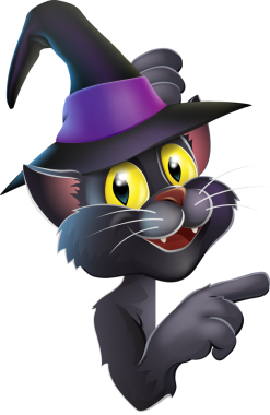 Cadı şapkalı kara kedi