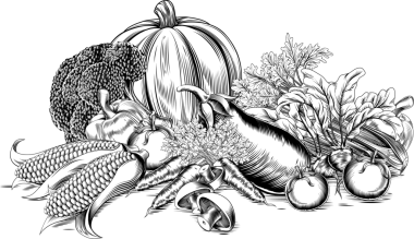 retro Vintage gravür sebze