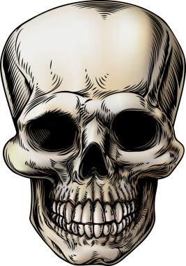 İnsan Kafatası Illustration tasarım elementi