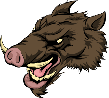 Domuz maskotu karakter tasarım elementi