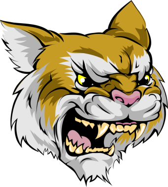 Wildcat maskotu karakter tasarım elementi 