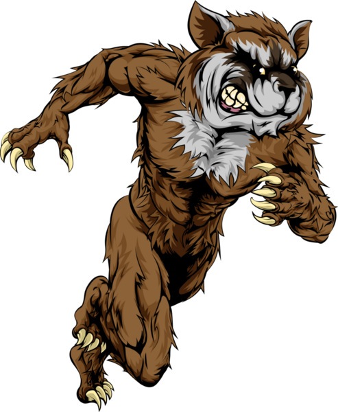 Персонаж енота или спортивный талисман, атакующий, бегущий или бегущий