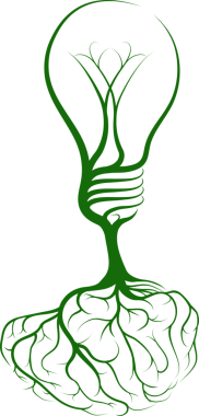 Bir ağaç kökleri bir beyin şeklinde gelen bir ampul şeklinde gelişen beyin ağaç kavramını ampul. Fikirler, ilham veya bilgi için bir kavram olabilir