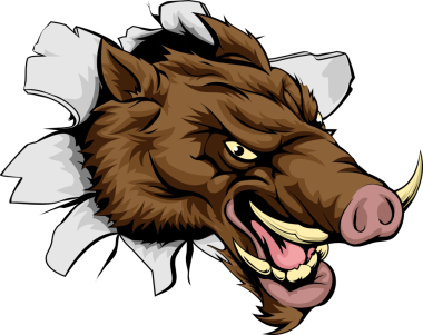 Duvardan ya da arka plandan fırlayan ortalama bir domuz sporu maskotu.