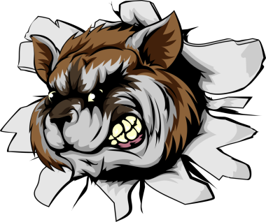 Rakun spor maskotu buluşu. Rakun spor maskotu ya da arka planda ya da duvarda kırılan karakter.