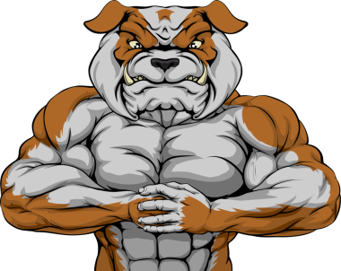 Dövüş için hazır Başlarken zor kas bulldog maskot karakter