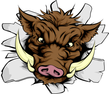 Bir domuz bir duvarı şarj bir örnek