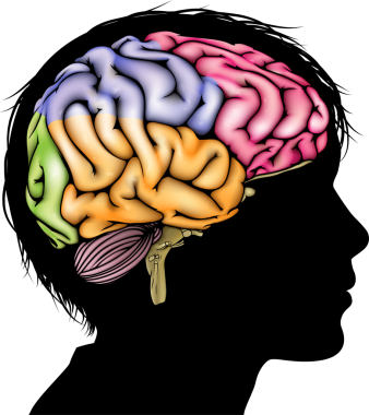 Siluet kesitli akıllı Childs'ın kafasından. Çocuk zihinsel, psikolojik gelişimi, beyin gelişimi, öğrenme ve eğitim veya diğer tıbbi Tema kavramı