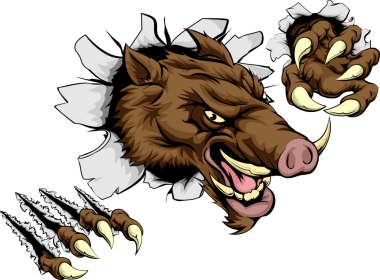 Korkunç bir yaban domuzu maskotu pençeleriyle duvarı kırıyor.