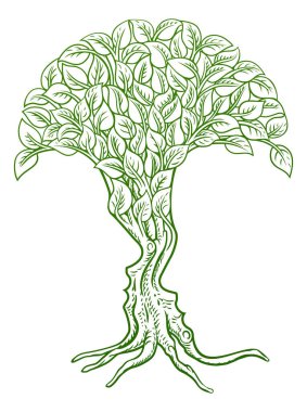 İki insan yüzü silueti şeklinde büyüyen bir ağacın olduğu optik bir illüzyon kavramı, erkek ve dişi.