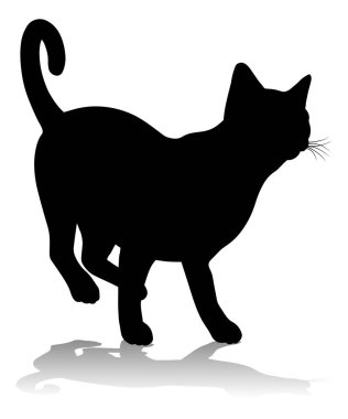 Bir siluet kedi evcil hayvan detaylı grafik