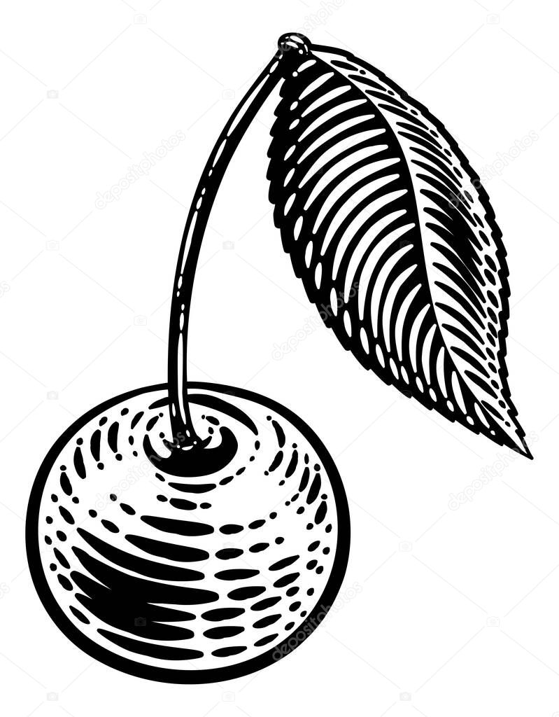 Cherry berry fruit illustration in a vintage retro woodcut etching style.