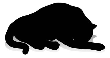 Bir siluet kedi evcil hayvan detaylı grafik