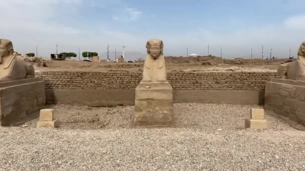 Aleja Sfinksów Długa Aleja Łącząca Świątynię Karnak Luxor Temple Wysokiej — Wideo stockowe