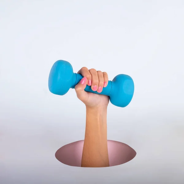 Woman Hand Hole Holding Dumbbell Pink Blue Background High Quality Stock Image