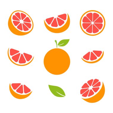 Grapefruit fruits slices set. Vector illustration isolated on white.