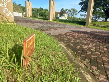 Parkta yeşil çimenler