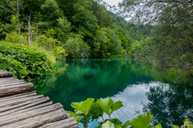 Hırvatistan 'daki Plitvice Gölleri Ulusal Parkı' nın güzel manzarası. Yürüyüş için patika.