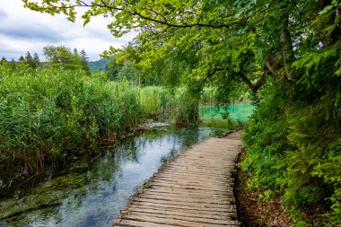 Hırvatistan 'daki Plitvice Gölleri Ulusal Parkı' nın güzel manzarası. Yürüyüş için patika.