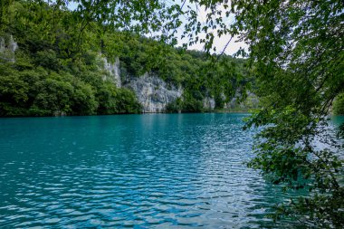 Hırvatistan 'daki Plitvice Gölleri Ulusal Parkı' nın güzel manzarası 