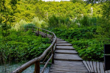 Hırvatistan 'daki Plitvice Gölleri Ulusal Parkı' nın güzel manzarası. Yürüyüş için patika.