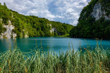 Hırvatistan 'daki Plitvice Gölleri Ulusal Parkı' nın güzel manzarası 
