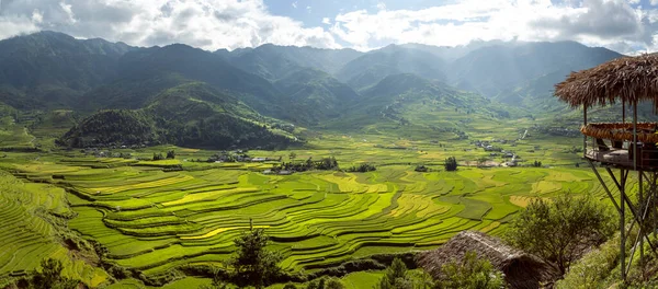 从越南延白市土勒村河内至木仓之间的稻田和梯田景观 — 图库照片