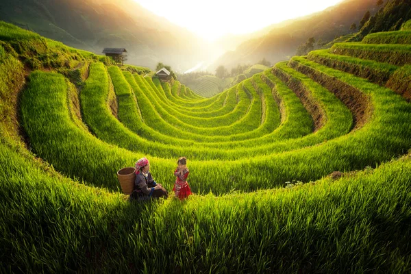 Jordbrukare Cang Chai Byn Promenader Berget Och Gyllene Ris Terrasser — Stockfoto