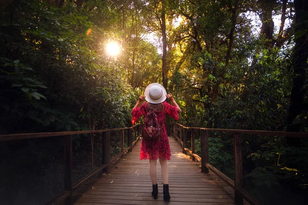 Mujer Viajera Asiática Que Camina Sendero Natural Ang Por Mañana —  Fotos de Stock