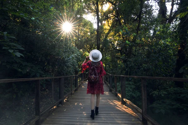 Mujer Viajera Asiática Que Camina Sendero Natural Ang Por Mañana —  Fotos de Stock